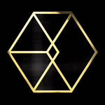EXO EXODUS 2ND ALBUM KOREAN VERSION (RANDOM VERSION)