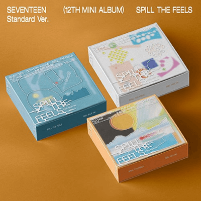 SEVENTEEN 12TH MINI ALBUM I FELT HAPPINESS  (STANDARD VER.)